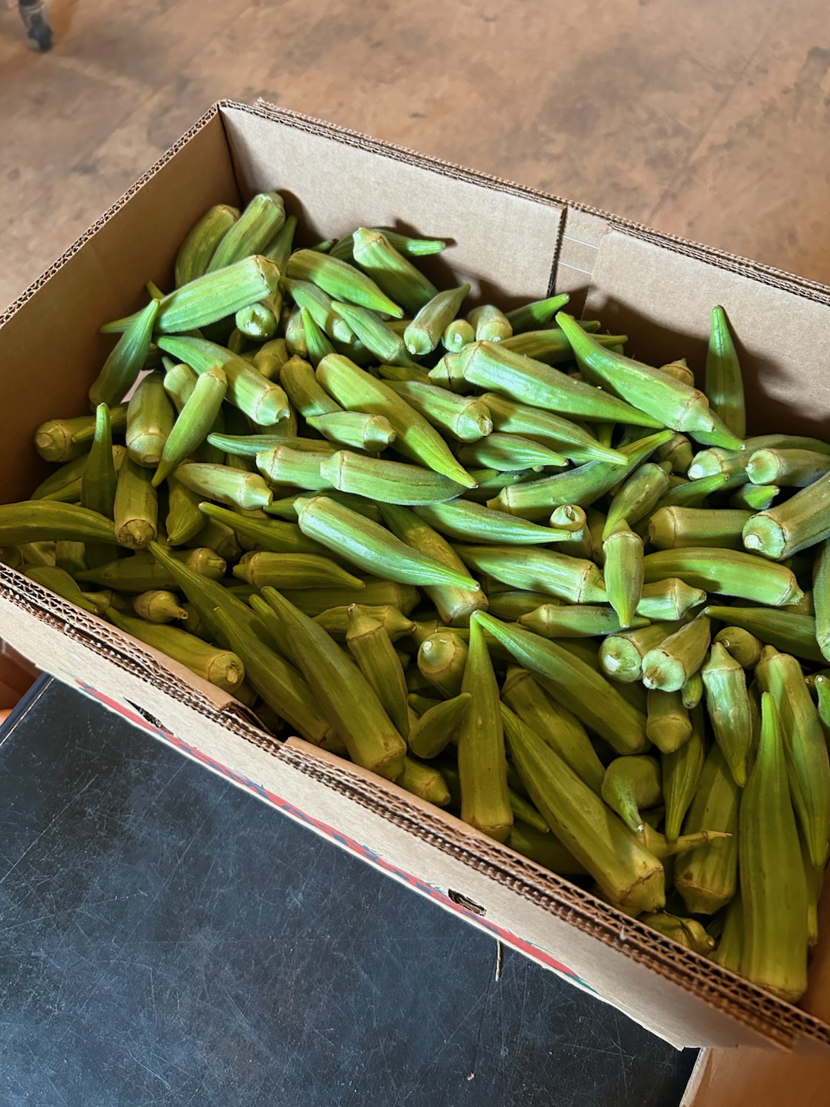 Fresh Okra