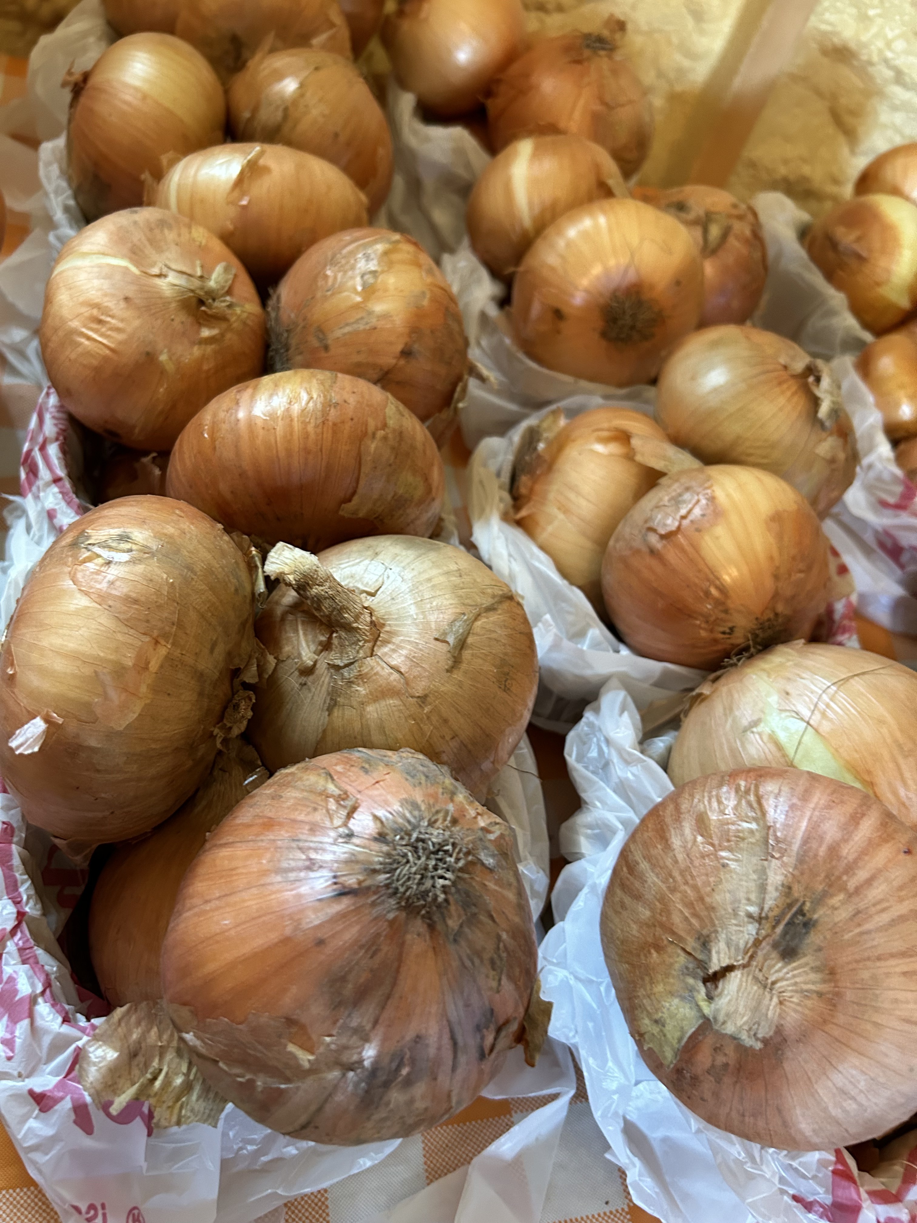 Homegrown Noonday Onions