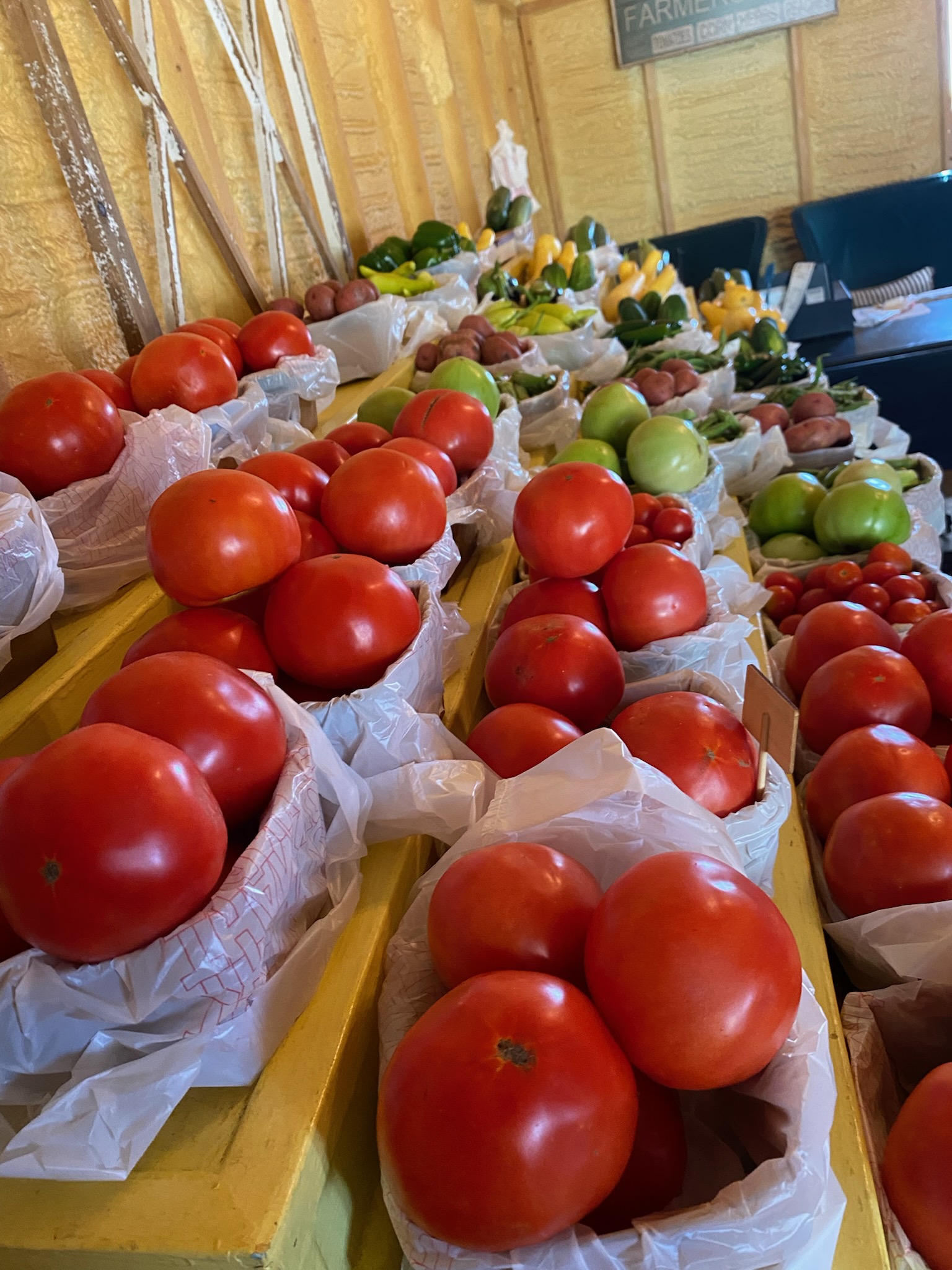 Homegrown Jacksonville Tomatoes