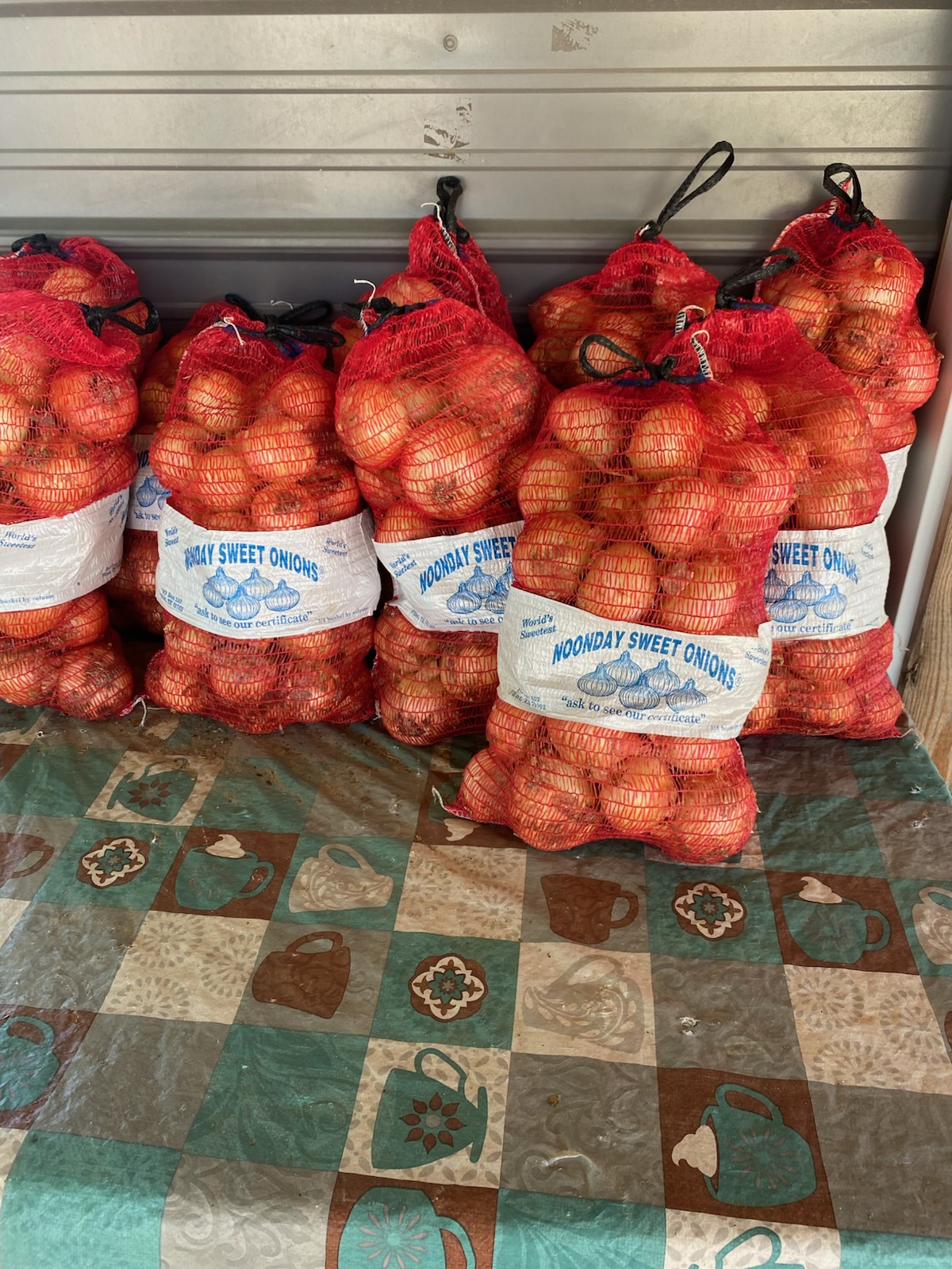 Sweet Homegrown Noonday Onions